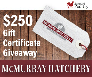 Murray McMurray Hatchery Giveaway