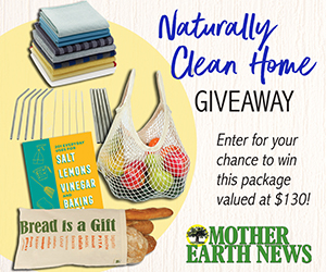 Naturally Clean Home Giveaway